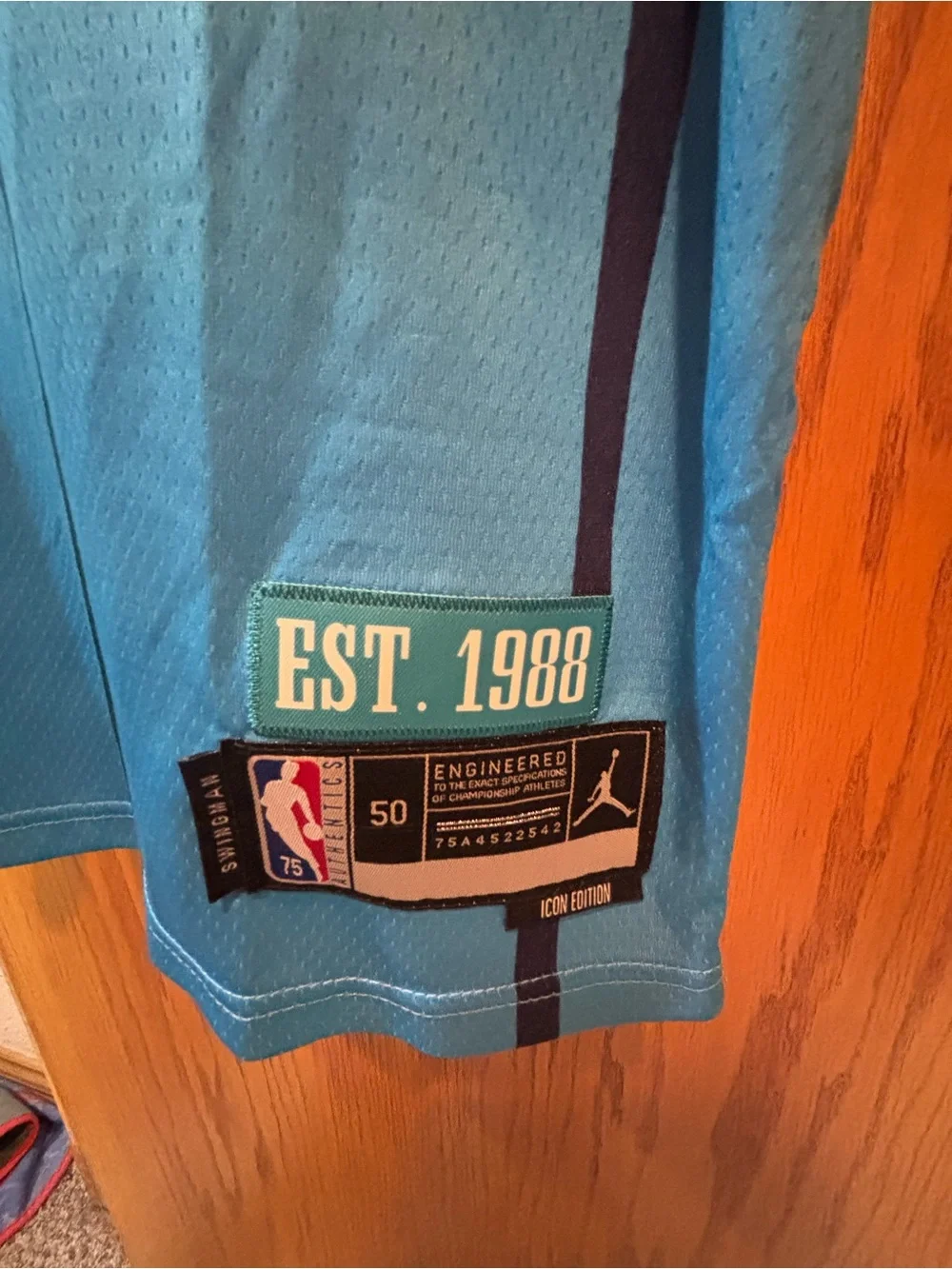 NBA Charlotte Blue Gradient - #2 Ball Jersey